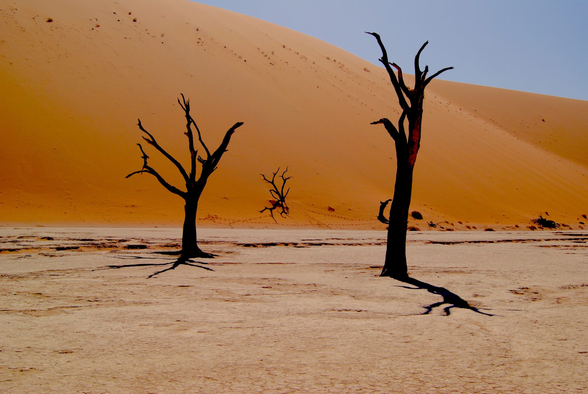 Dry Thirsty Land